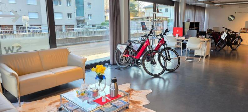 瑞士酒店公寓 - 因特拉肯(Swiss Hotel Apartments - Interlaken)图片