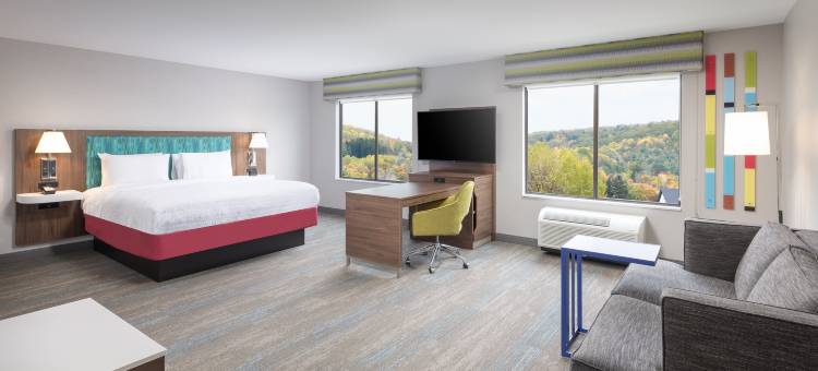 霍内尔欢朋酒店(Hampton Inn Hornell)图片