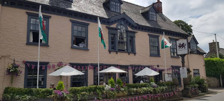 巨龙酒店(Dragon Inn)图片