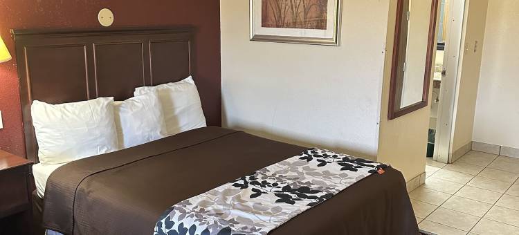 罗德威酒店(Executive Inn)图片