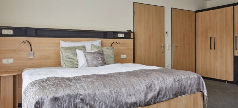 豪斯金高级旅馆(Gold House Pension)图片