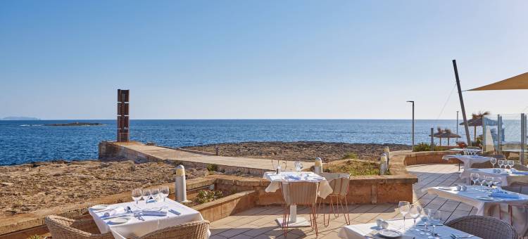 卡布布兰科环球酒店 - 限成人(Universal Hotel Cabo Blanco - Adults Only)图片