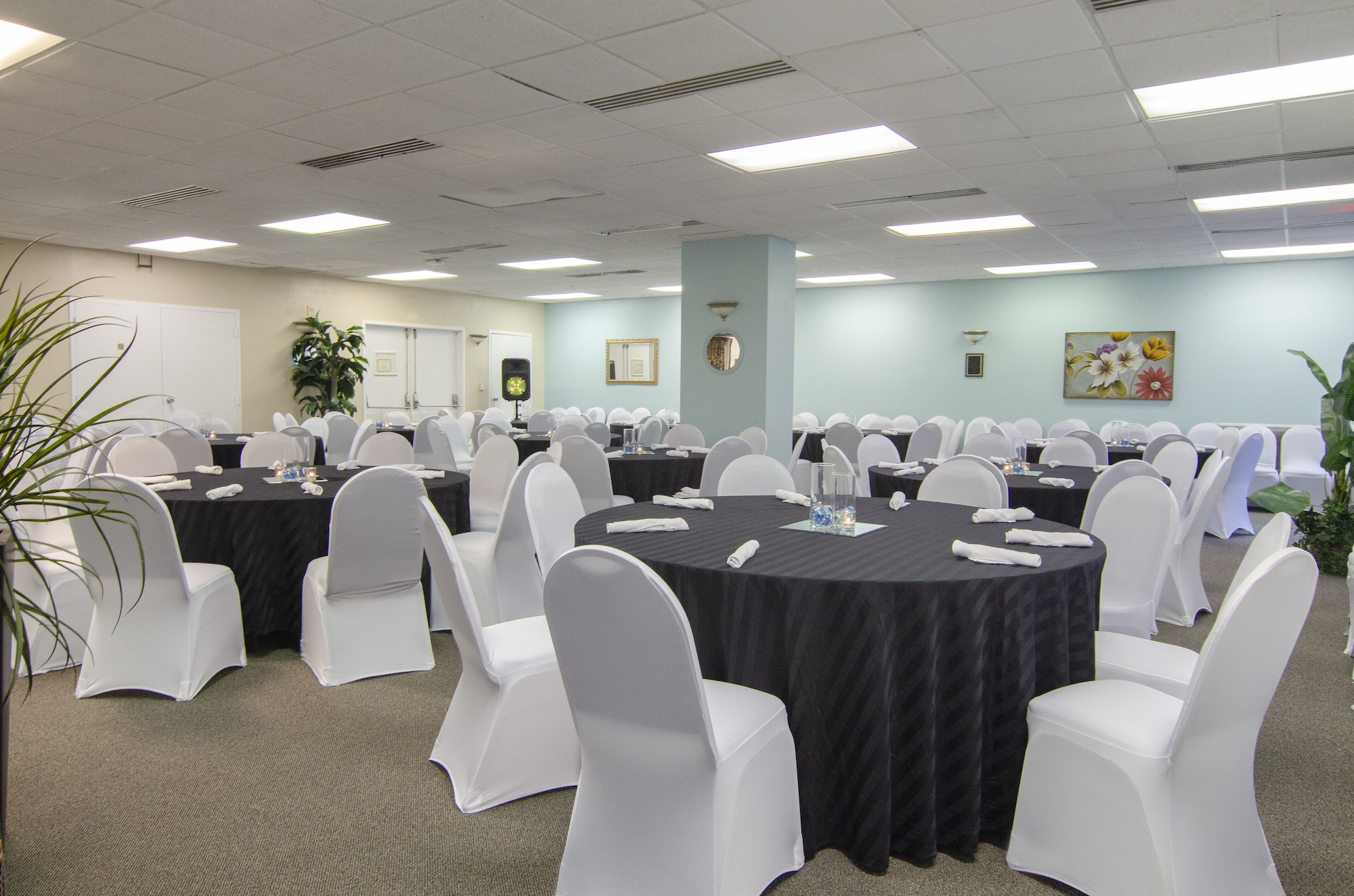 Palace Resort Over view