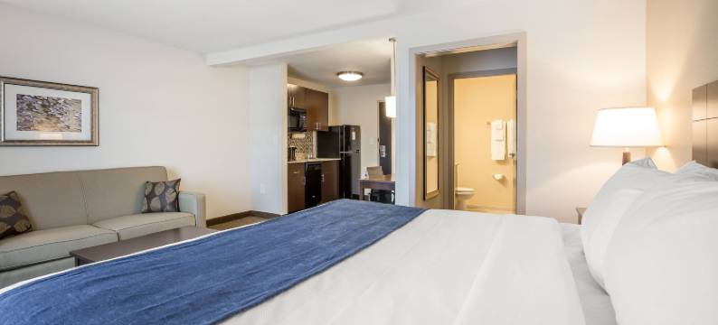 卡特尔斯维尔美茵斯坦套房酒店(MainStay Suites Cartersville)图片