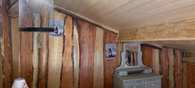 埃克兰贝尔维迪尔酒店(Les Ecrins de Belvedere)图片