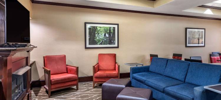 什里夫波特西I-20舒适套房酒店(Comfort Suites Shreveport West I-20)图片