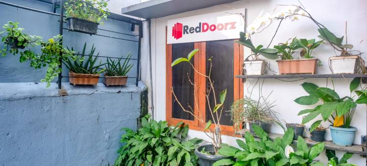红多兹酒店@科达翁路(RedDoorz @ Jalan Kedawung)图片