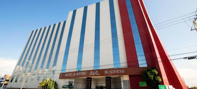 萨拉曼卡贝尔艾尔商务 - 温德姆商标精选酒店(Bel Air Business Salamanca, Trademark by Wyndham)图片