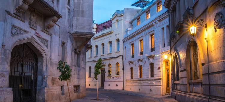 康查伊托罗33号精品酒店由诺比尔经营(Concha y Toro 33 Hotel Boutique by Nobile)图片