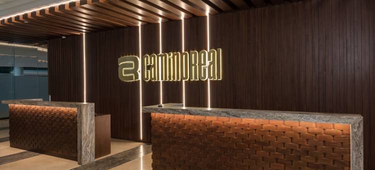 梅尼达卡米诺里尔酒店(Camino Real Mérida)图片