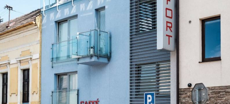 舒适酒店(Hotel Comfort with Free Wellness and Fitness Centrum)图片