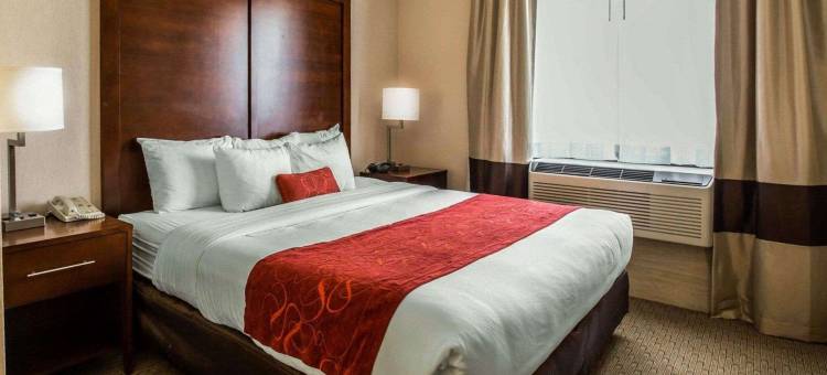 斯帕福德附近舒格兰舒适套房酒店(Comfort Suites Stafford Near Sugarland)图片
