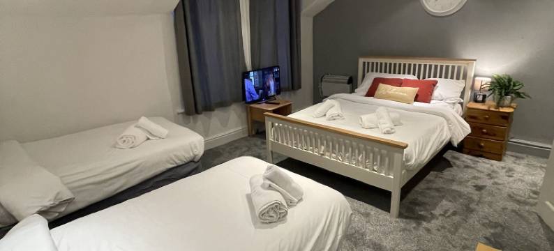 威尔顿酒店(The Wilton Hotel)图片