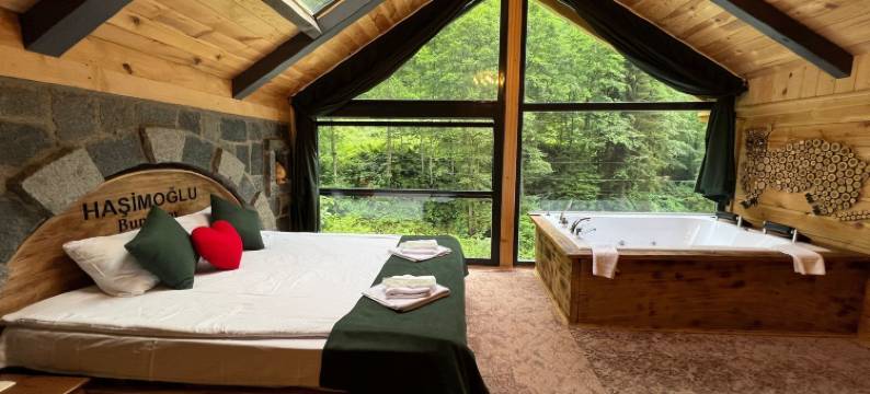 阿伊德尔哈斯莫格鲁酒店(Ayder Hasimoglu Hotel)图片