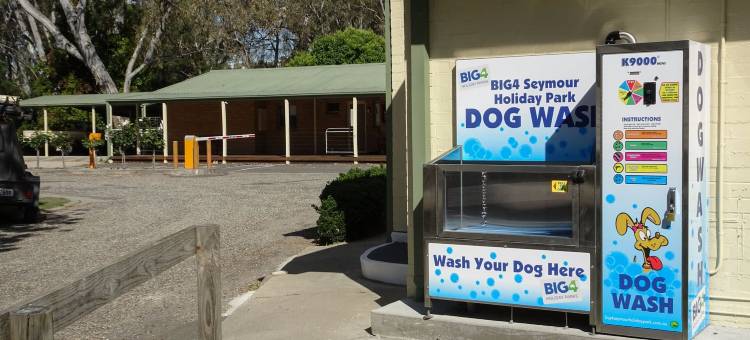 比格 4 西摩假日公园酒店(BIG4 Seymour Holiday Park)图片