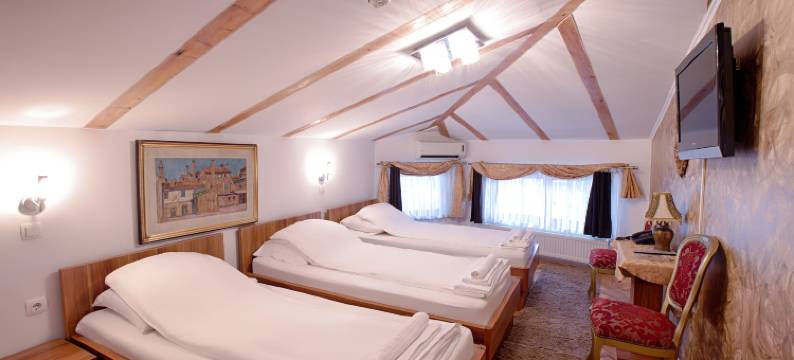 艾瑞克酒店(Hotel Herc Sarajevo)图片