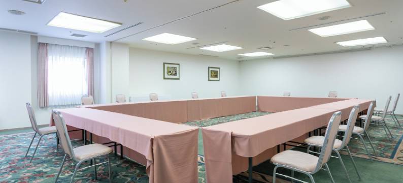 阿尔扎泉大津市埃尔斯特湖酒店(Hotel Lake Alster Alza Izumiotsu)图片