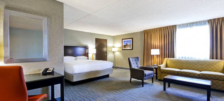 希尔顿逸林酒店-凤凰城北(DoubleTree by Hilton Phoenix North)图片