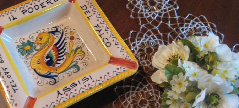 德尔法尔科乡村民宿(Il Podere del Falco)图片