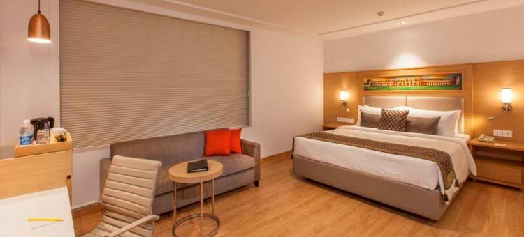 勒克瑙柠檬树酒店(Lemon Tree Hotel Lucknow)图片