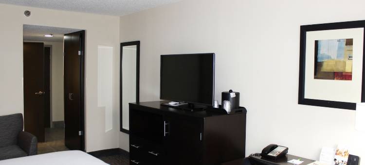 Holiday Inn 亚特兰大诺斯莱克(Holiday Inn Atlanta-Northlake)图片