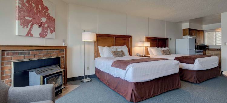 艾斯特李汽车旅馆(Ester Lee Motel)图片