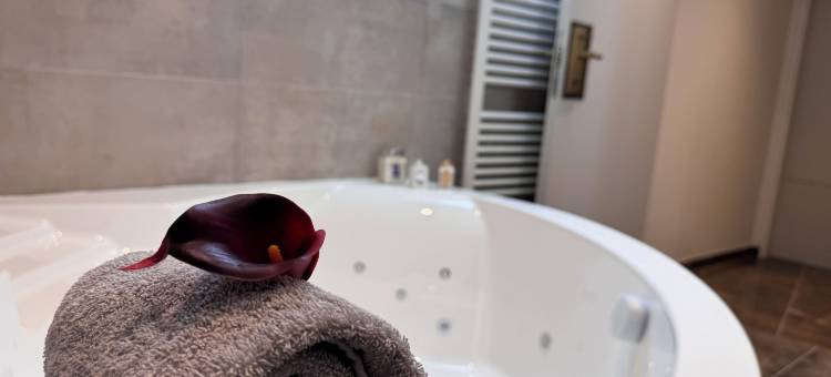 格里尼昂英式酒店(Brit Hotel de Grignan Vichy)图片