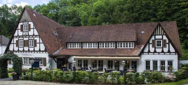 兰德豪斯希尔施普龙旅馆(Landhaus Hirschsprung)图片