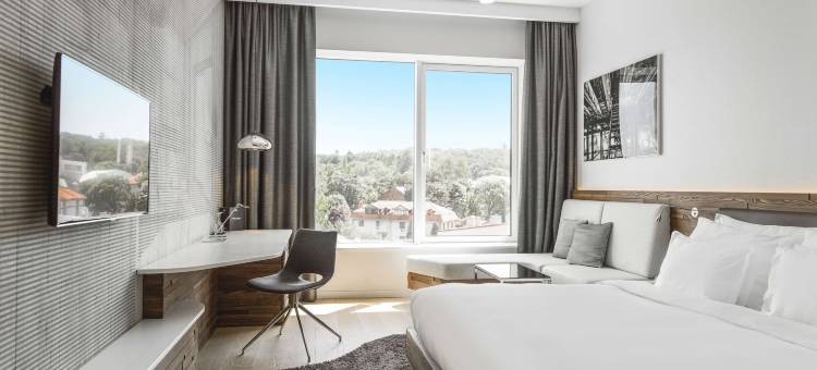 贝尔格莱德老磨坊酒店-丽笙精选酒店(Radisson Collection Hotel, Old Mill Belgrade)图片