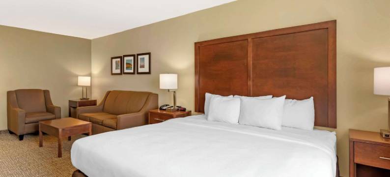 格林内尔舒适套房酒店 - 近 I-80(Comfort Inn & Suites Grinnell Near I-80)图片