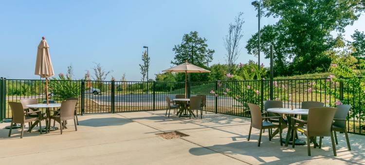 舒眠套房酒店(Sleep Inn & Suites Columbia I-65)图片