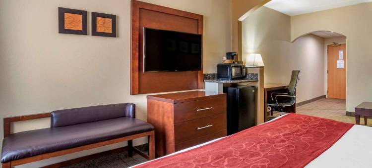 哈黑格斯敦东南的舒适套房酒店(Comfort Suites)图片