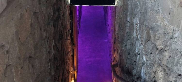 圣塔纳牧场酒店(Hotel Hacienda Santana)图片