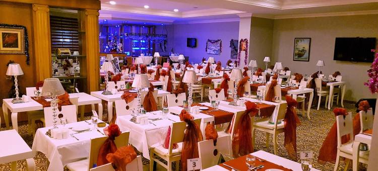 梅尔特绿园酒店(The Green Park Merter)图片