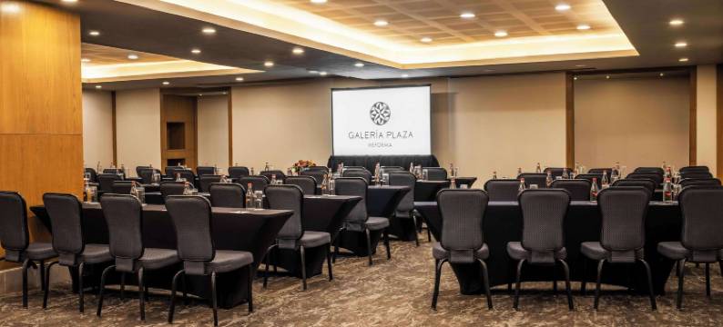 格拉瑞亚瑞福玛广场酒店(Galeria Plaza Reforma)图片