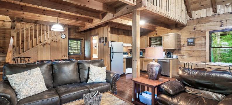 Distilled Memories清醒的回忆(Distilled Memories)图片