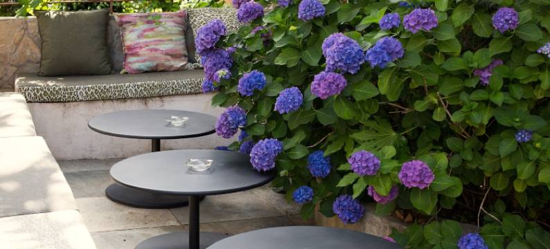 奥尔滨酒店(Hôtel Albion)图片