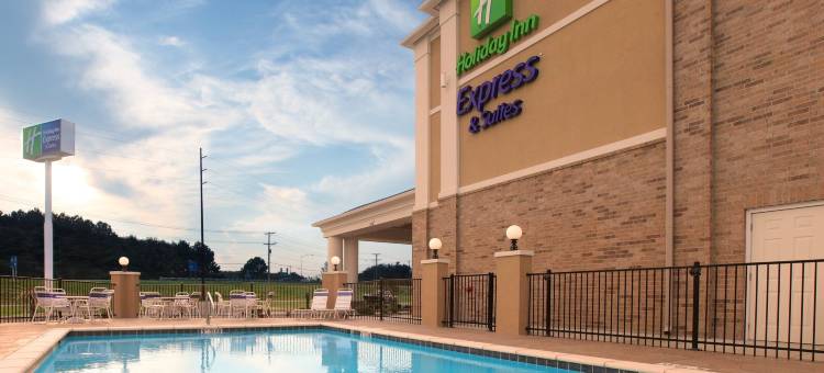 智选假日套房酒店克拉克斯(Holiday Inn Express & Suites Clarksville)图片