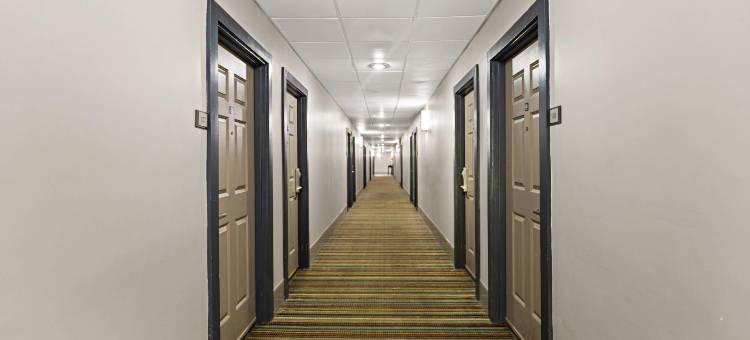 海恩斯维尔丽怡酒店(Country Inn & Suites by Radisson, Hinesville, GA)图片