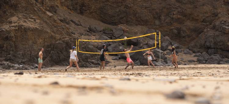 休暇冲浪俱乐部(Kyuka Surfclub)图片