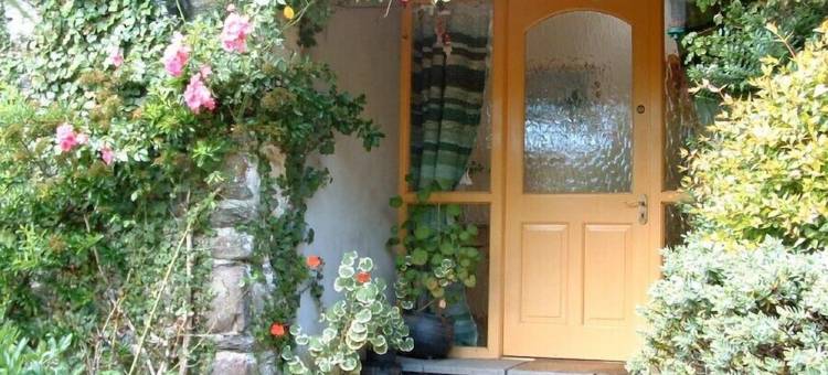 Gorgeous spacious cottage in pretty garden setting in Sunny South East Ireland!图片