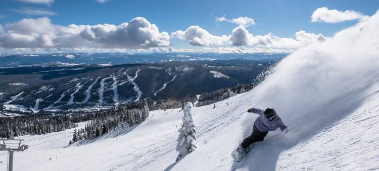 由Bear Country提供的Echo Landing #22(Echo Landing #22 by Bear Country)图片