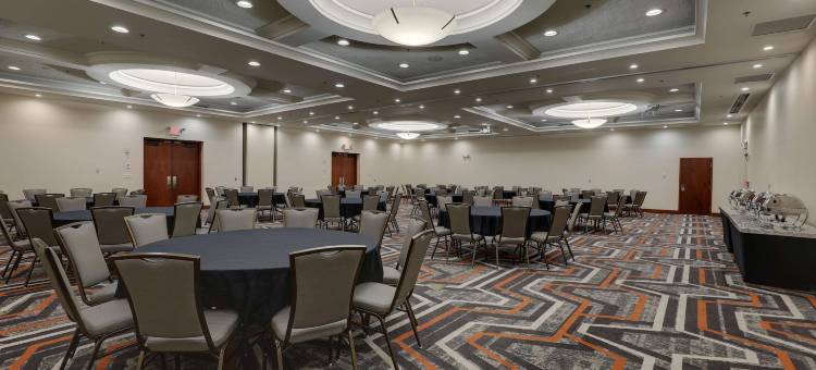 纳什维尔-富兰克林德鲁里广场酒店(Drury Plaza Hotel Nashville Franklin)图片