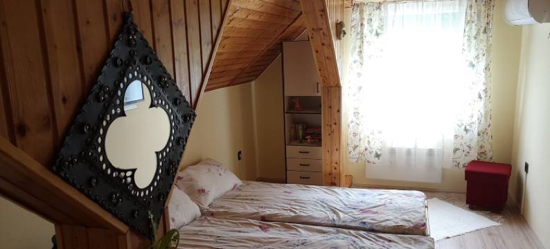 Szabó 宾馆(Szabó Vendégház)图片