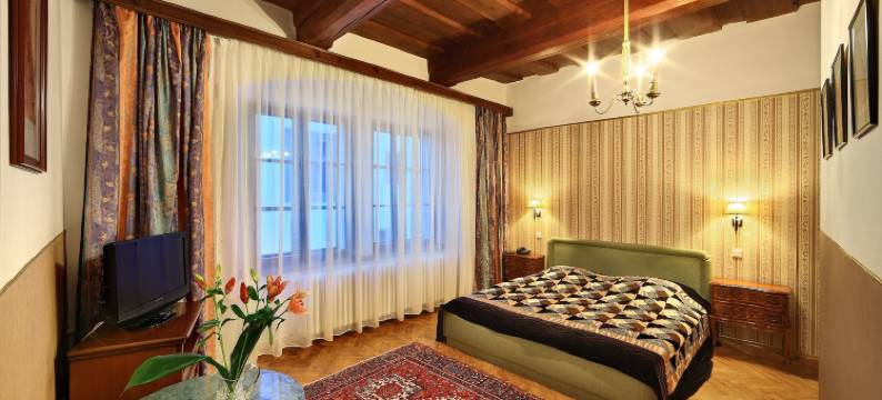 康维斯酒店(Hotel Garni Konvice)图片