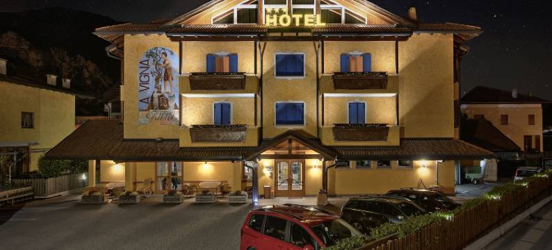 加尼拉维尼亚酒店 - 限成人(Hotel Garni la Vigna - Adult Friendly)图片