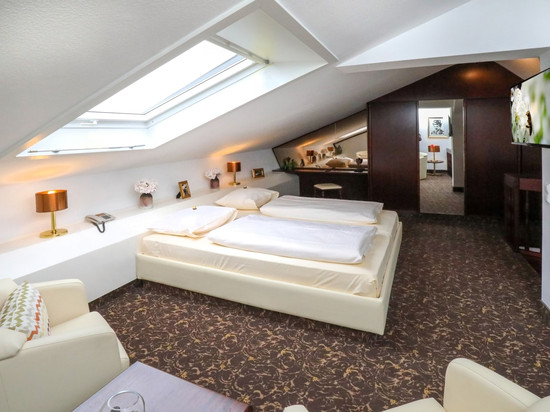 阿沙芬堡城市酒店