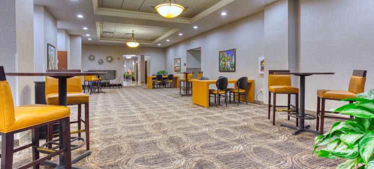 圣安东尼奥-拉坎特拉德鲁里套房酒店(Drury Inn & Suites San Antonio Near la Cantera)图片