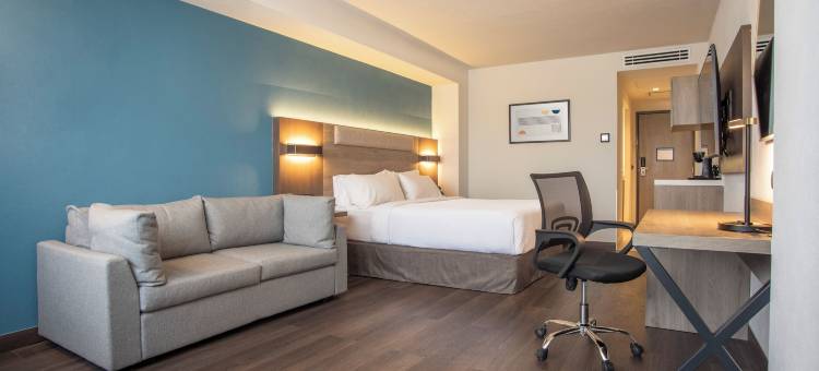 Holiday Inn Express 瓜达拉哈拉世博会(Holiday Inn Express Guadalajara Expo)图片