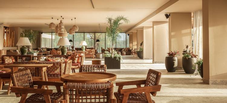 库克俱乐部科孚(限成人)(Cook's Club Corfu - Adults Only)图片